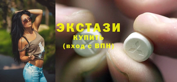 ECSTASY Богородск