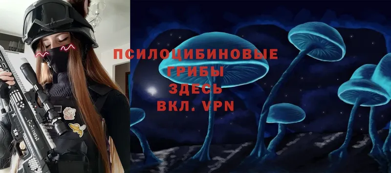 Псилоцибиновые грибы Psilocybe  Карабулак 